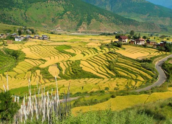 Teem Travel the Best Bhutan travel agency in Bhutan's Unique Travel Landscape